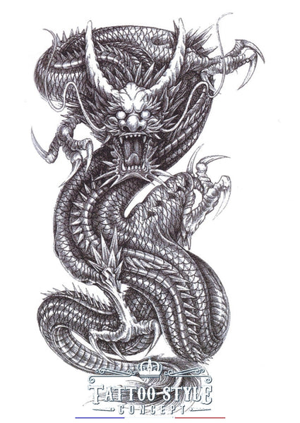 TattooStyleConcept Boutique de Tatouage temporaire l Dragon mystique