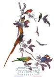 Tatouage Floral - Branche Et Oiseaux Exotiques Multicolores Fleurs
