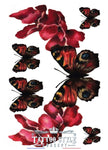 Tatouage Papillon De Nuit En Couleur Astral & Illusion