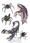 Tatouage Scorpion Serpent Et Araignée En Trois Dimension Animaux